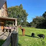 Aux Murmures De La Nature ベッド・アンド・ブレックファスト 4*
