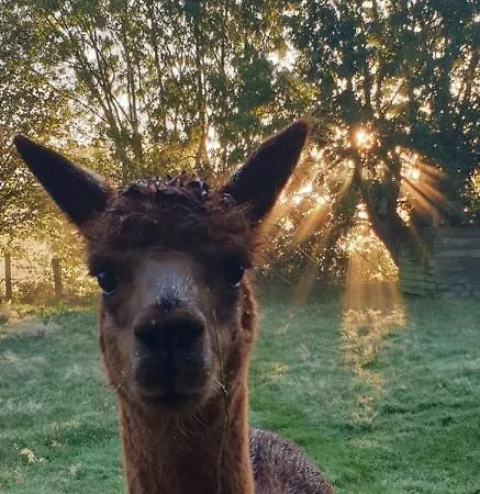 Aux Murmures De La Nature Nocleg ze śniadaniem *