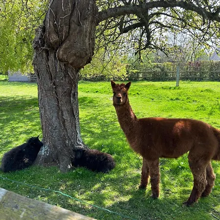 Nocleg ze śniadaniem Aux Murmures De La Nature