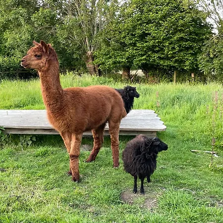 Aux Murmures De La Nature 4* Honfleur