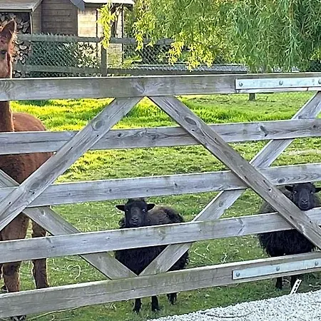 Oda ve Kahvaltı Aux Murmures De La Nature 4*