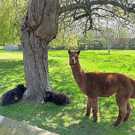 Oda ve Kahvaltı Aux Murmures De La Nature 4*