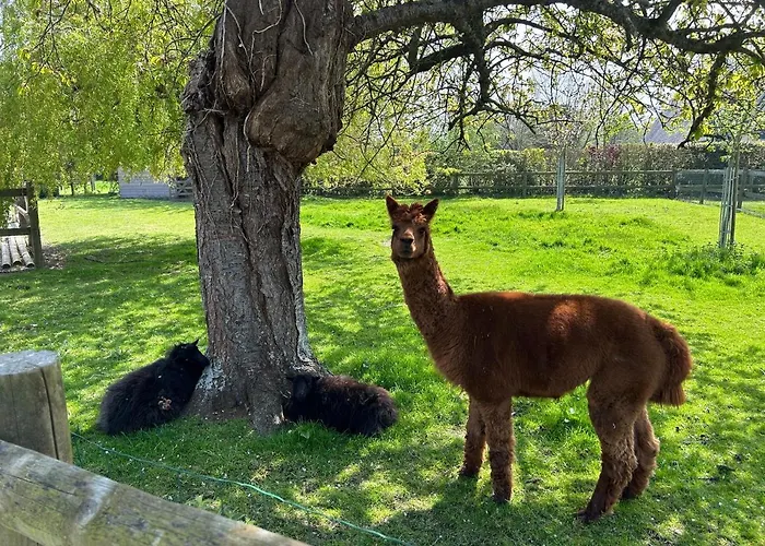 فندق مبيت وإفطار Aux Murmures De La Nature