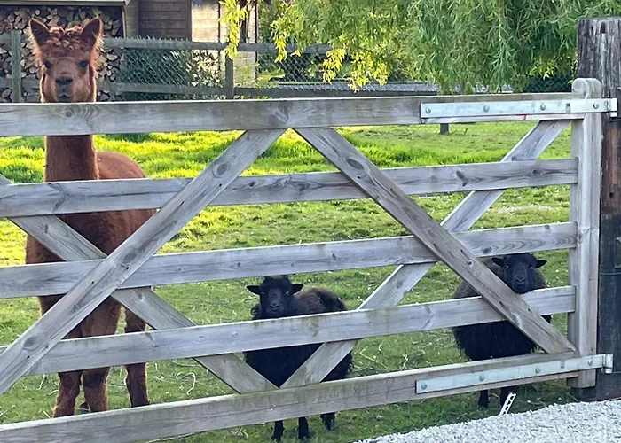 Aux Murmures De La Nature