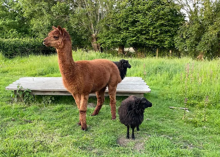 Aux Murmures De La Nature 4* أونفلور